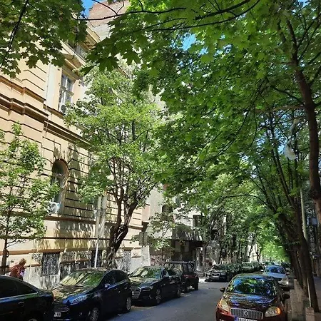 Apartment 51 - Bright, Spacious, Lux 1 Bedroom In The City Center - Stari Grad Belgrade Exterior photo